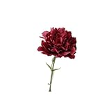 Ramos de 11 pulgadas, 10 claveles de tallo, resistentes a los rayos UV, flores falsas para siempre para accesorios de fotos, decoración de fiestas en el hogar y bodas (rojo vino)