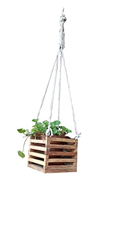 Perfect Wood Works Wooden Hanging Planter for Balcony Pc 1 (B09GG69HY6) Amazon Price History, Amazon Price Tracker