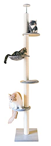 zfadgru ؐLbg^[ u^, E߂Ƃt, R, 145cmAlCybgpi (܂Ƃt,O[)