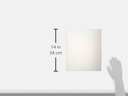 MASTERPIECE Z2DS-1012 3D Pro 2.5