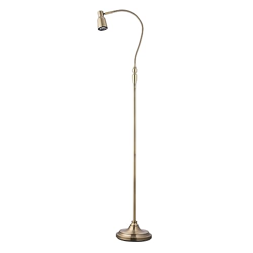Lighting Supermarket Heavyweight Modern Antique Brass Reading Floor Lamp - Adjustable Gooseneck with 9W LED Daylight Bulb