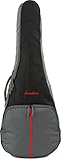 Breedlove BL-GIG-CO