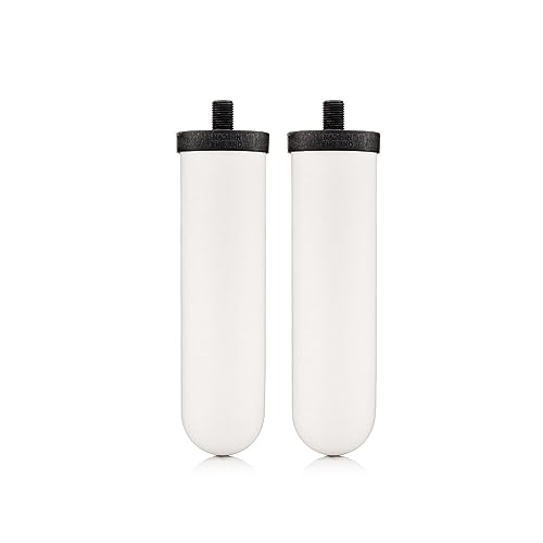 Doulton W9121200/British Berkefeld W9121207