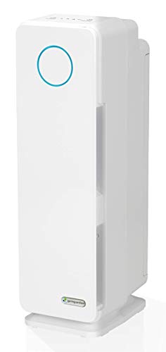 Germ Guardian Air Purifier True HEPA Filter for Allergies, Pets, Pollen, Smoke, Dust