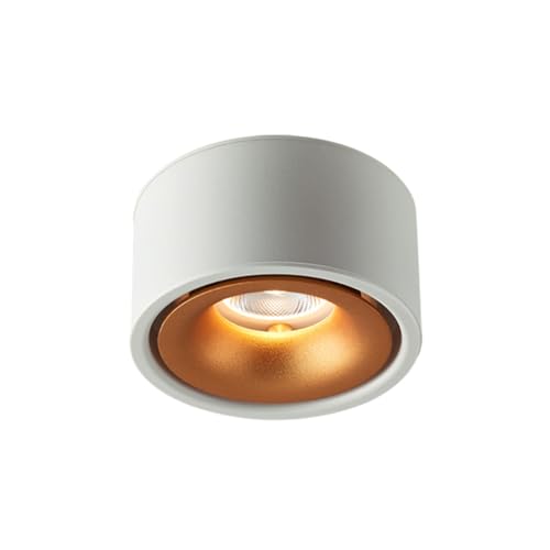 Baoying Focos de superficie de 5 W, luces de techo nórdicos simples, focos de entrada para pasillo, balcón, salón, dormitorio, luces de fondo LED, focos de cocina y restaurante.