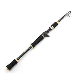 Visstang/visserspaal Hengel, koolstofhengel Draagbare telescopische hengel gieten draaiende vis hand vissen packle sea rod Haspelcombo’s (Color : Casting Rod, Length : 2.7 m)