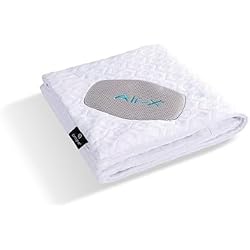 Bedgear Dri-Tec Performance Pillow Protector, Moisture-Wicking Cooling Pillow Cover with Airflow Technology | Breathable, Protective Pillowcase with Zipper | Machine Washable Pillow Protector, Queen