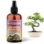 BONSAI Plants Superfood