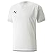 PUMA Herren Teamfinal Jersey Fu balltrikot, Puma White-nimbus Cloud, L EU balltrikot günstig Kaufen-PUMA Herren Teamfinal Jersey Fu balltrikot, Puma White-nimbus Cloud, L EU