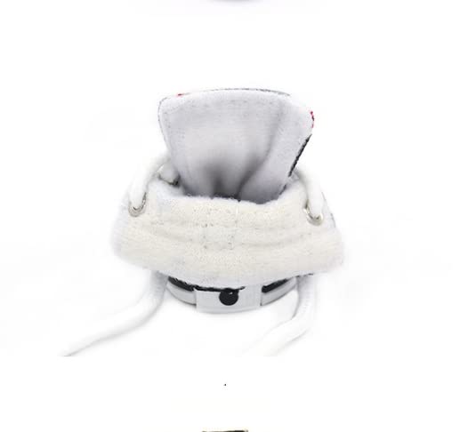 Chaussures pour chien respirantes protégeant les coussinets du Teddy - 2