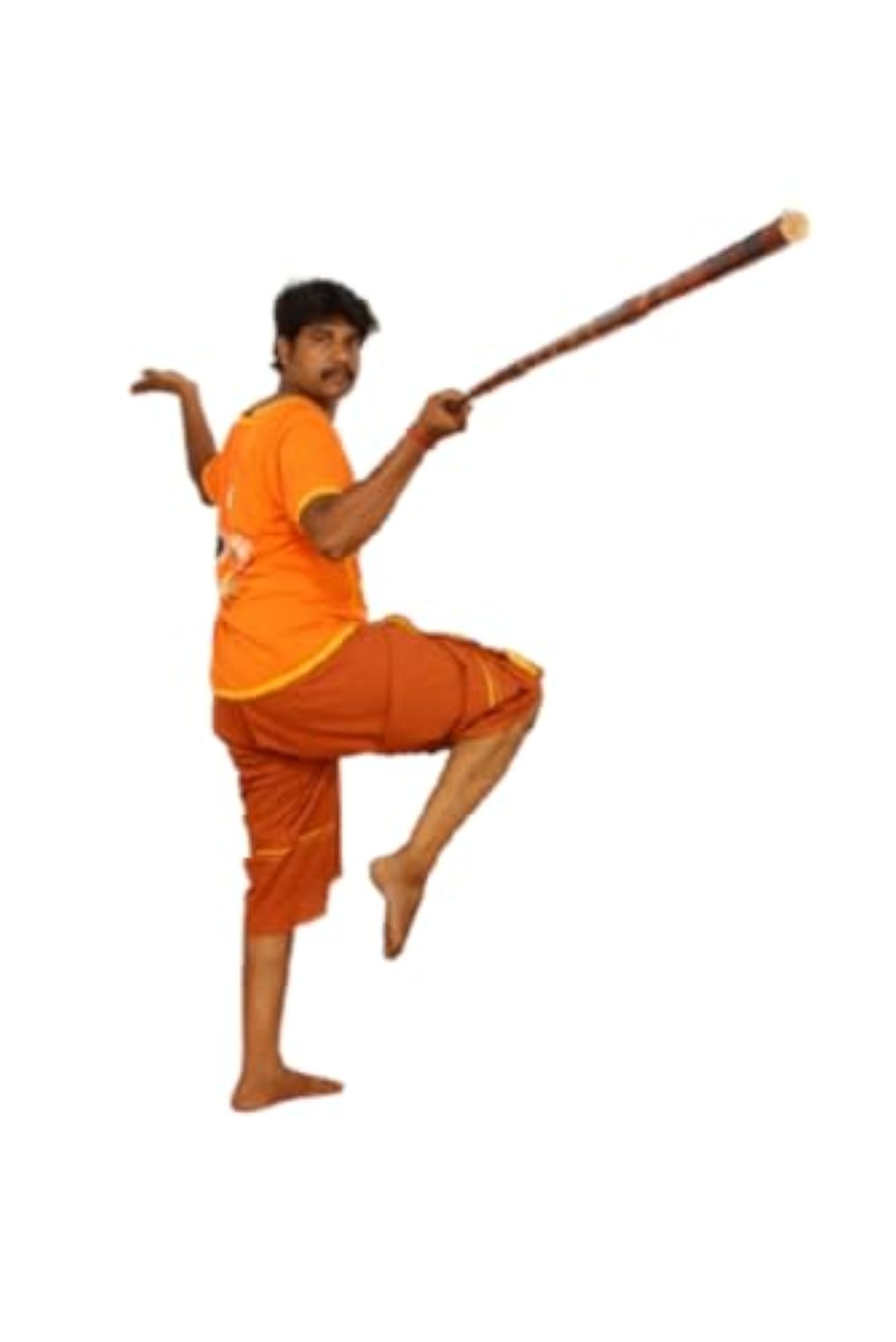Silambam Kalari Payattu Stick Pack of 2