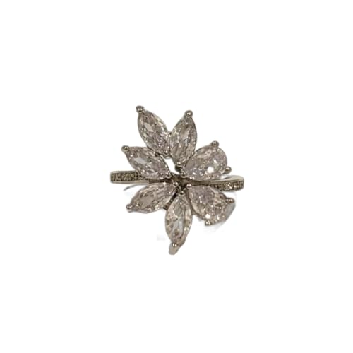 CZ _Ch [t I[vO Vo[ w Ԃ uh