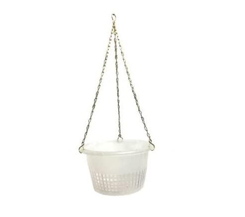 Orchid pots 8 inch Hanging with Metal Chain (Clear) - Pack of 1 (B09PH3ST9N) Amazon Price History, Amazon Price Tracker