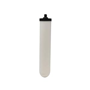 Doulton W9123019 UltraCarb SI Ceramic Drinking Water Filter Cartridge Candle Lime Scale Reduction 10 inch BSP Thread…