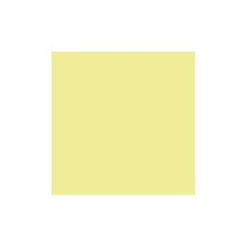 TROPHÉE Lot de 5 Ramettes 500 Feuilles Papier 80g A4 210x297 mm Certifié FSC JONQUILLE
