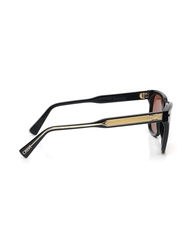 Image of Titan Wayfarer Polarized Sunglasses for Men
