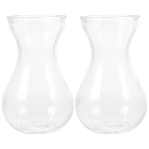 2Pcs Hyacinth Vase Transparent Glass Vase Small Decorative Flower Pot Unique Hydroponic Plant Container Table Arrangements for Indoor and Outdoor