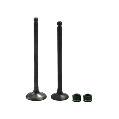 Kit joint d'huile tige moteur haute résistance pour Suzuki DR250 GN250 1984