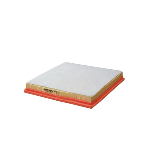 FILTRON AP 051/7 Filtre à air - pour VÉHICULE DE TOURISME + UTILITAIRES