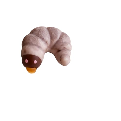 幼虫チョコ 10匹