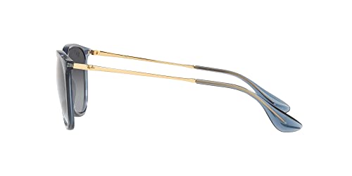 Image of Ray-Ban RB4171 Erika Round Sunglasses