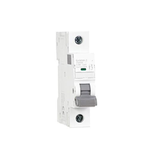 Disjoncteur miniature 2P protège votre circuit 63A