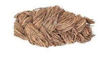 Muthiyar Koonthal/முதியார் கூந்தல்/Skunk Vine Dried - 50 grams-image-1