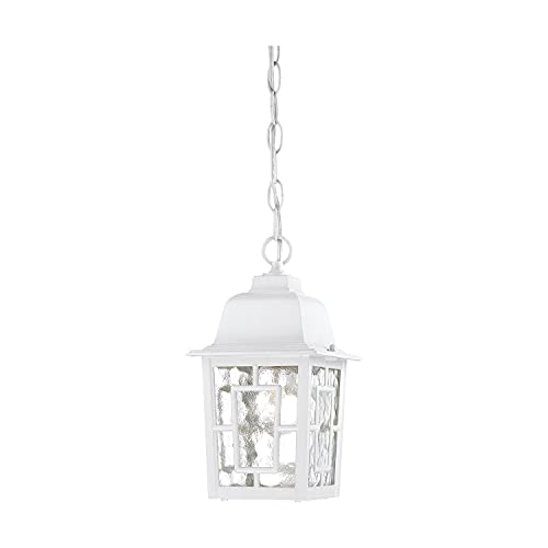 Nuvo Lighting 60/4931 Banyon One Light Hanging Lantern 100 Watt A19 Max. Clear Water Glass White Outdoor Fixture