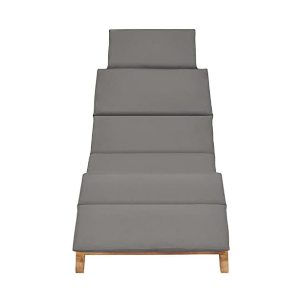 FIRBNUS Teak Sonnenliege klappbar (2er-Set)