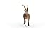 Schleich Wild Life - Wild Animal Toy Capricorn Figurine - Kids and Toddlers Ages 3+