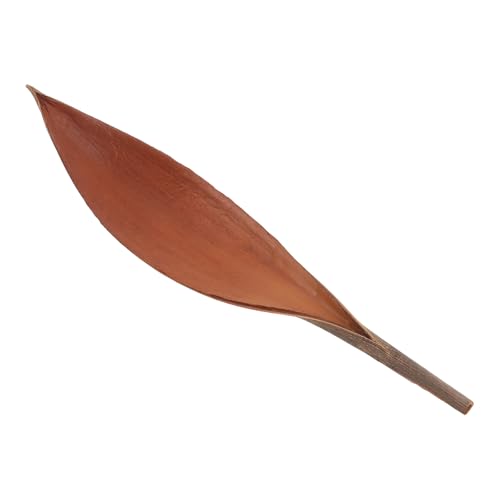 Décoration artisanale feuille de plante pour art créatif et maison