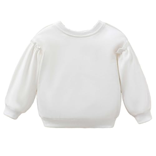 Cute Sweatshirts for Girls Fashion Long Sleeve Plain Crew Neck Shirts Pullover Loose Fit Top Hiking Party School