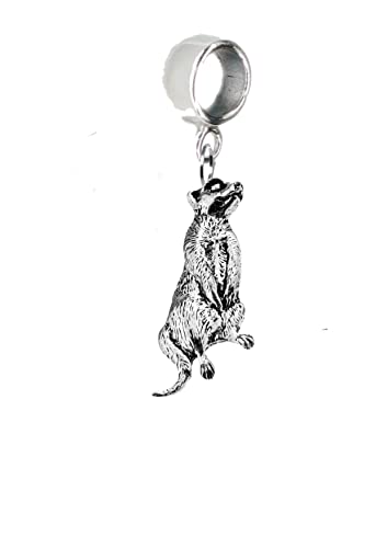 How to draw a meerkat How to draw a meerkat