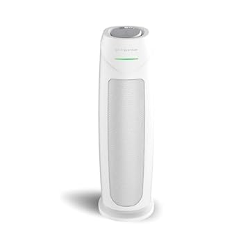 best air purifier for forest fire smoke
