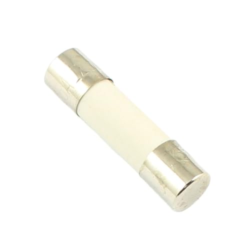 Fusible céramique F 6A 5x20 mm 250V à fusion rapide pour circuit électrique, lot de 10 pièces