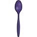 Creative Converting Touch of Color Premium 24 Count Plastic Spoons, Purple