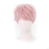 WGHERE UP Anime Cosplay Wig for Ensemble Stars Hair Synthetic Hair Wigs with Free Wig Cap (Itsuki Shu)