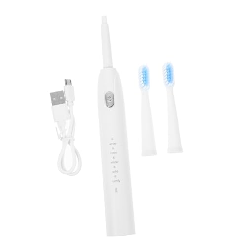 Brosse à dents électrique USB étanche Healvian pour le voyage