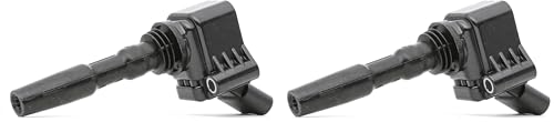 Bobine d'allumage Delphi GN10631-12B1 lot de 2 pour la réparation du système électrique