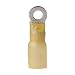 Ancor 312299 Marine Grade Electrical Nylon Insulated Adhesive Lined Heat Shrink Ring Terminals (12 to 10-Gauge, Size 8 Screw, 100-Pack)