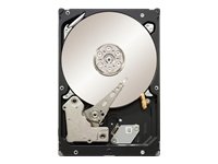 Seagate Constellation ES ST32000644NS Interne Festplatte 2TB (8,9