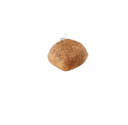 Royal Canin Cavalier King Charles Futter für Erwachsene, 1,5 kg