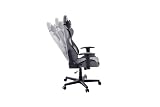 DXRacer 4.2 FD01 L/GN -New- Gaming-/ Büro-/ Schreibtischstuhl, mit Wippfunktion Gaming Stuhl Höhenverstellbarer Drehstuhl PC Stuhl Ergonomischer Chefsessel, grau-schwarz