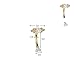 Pierced Owl 16GA ASTM F-136 Implant Grade Titanium Internally Threaded CZ Crystal and Ball Cluster Curved Eyebrow Barbell (Silver Tone)