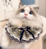  lR L Lp XS|XL ybgpi { [X t 킢 ANZT[ y  _炩 Te q k jbg ubN x[W C sN O[