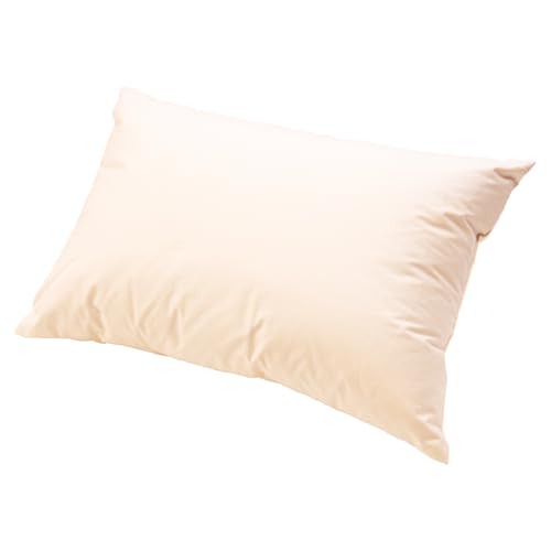 白州洗いの羽毛枕[43cm×63cm]