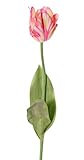 artplants