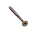 Simpson Strong-Tie SDWS16300QMB Strong-Drive SDWS Framing Screws, 0.160 Inch x 3 Inch, Quik-Guard, Low Profile Head, Sawtooth Point, Tan (Pack of 250)