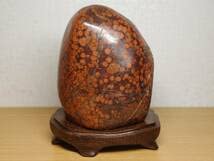 孔雀石　鑑賞石 Amazon.co.jp: 赤孔雀1.1kg 孔雀石 紋石 原石 碧玉 風水 開運 誕生石