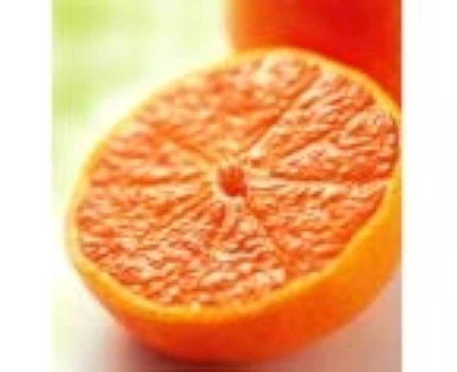 （1ケース限定）最高級みかんジュース(300ml)✕35本入り ふるさと創生館】安心無添加！愛媛県明浜町の100％みかん